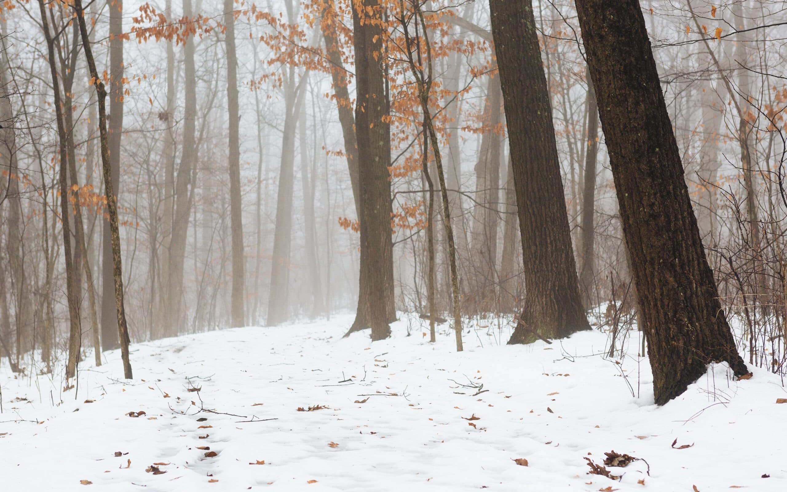 Is Your Business Ready for the Holiday Season? Here’s Your Essential Checklist